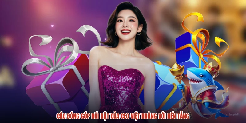 Các đóng góp nổi bật của CEO việt hoàng với nền tảng