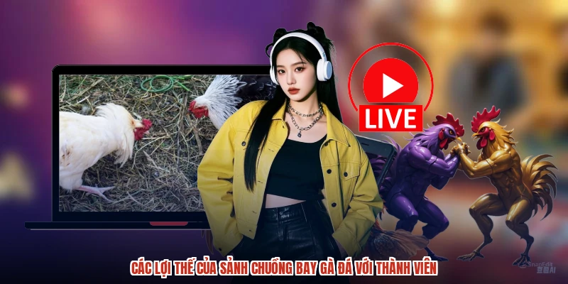 Các lợi thế của sảnh chuồng bay gà đá với thành viên