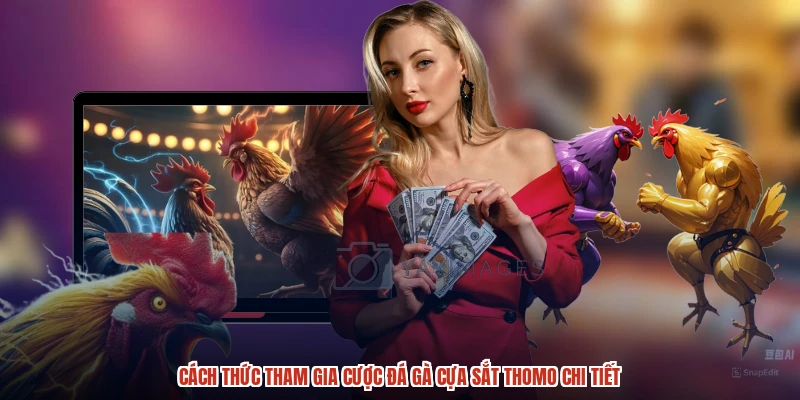 Cách thức tham gia cược đá gà cựa sắt thomo chi tiết