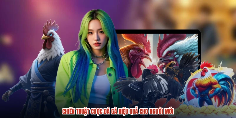 Chiến thuật cược đá gà hiệu quả cho người mới