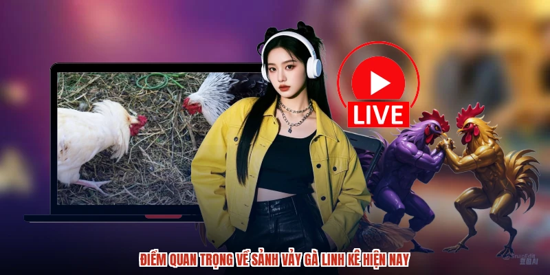 Điểm quan trọng về sảnh vảy gà linh kê hiện nay