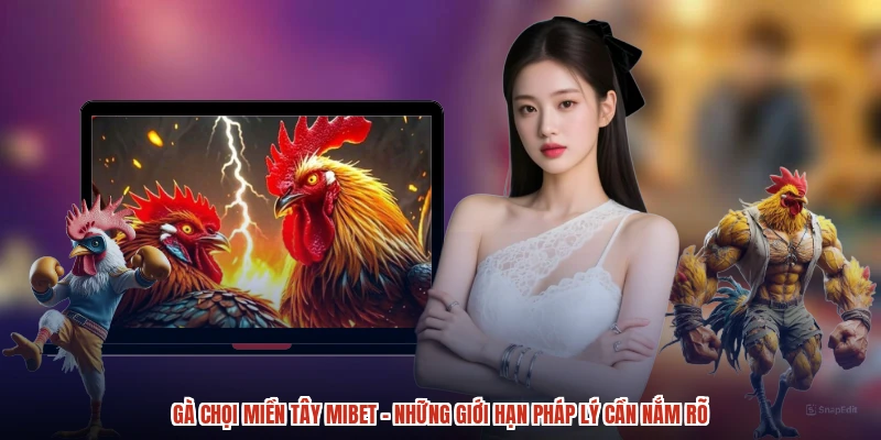 Gà Chọi Miền Tây MIBET - Những Giới Hạn Pháp Lý Cần Nắm Rõ