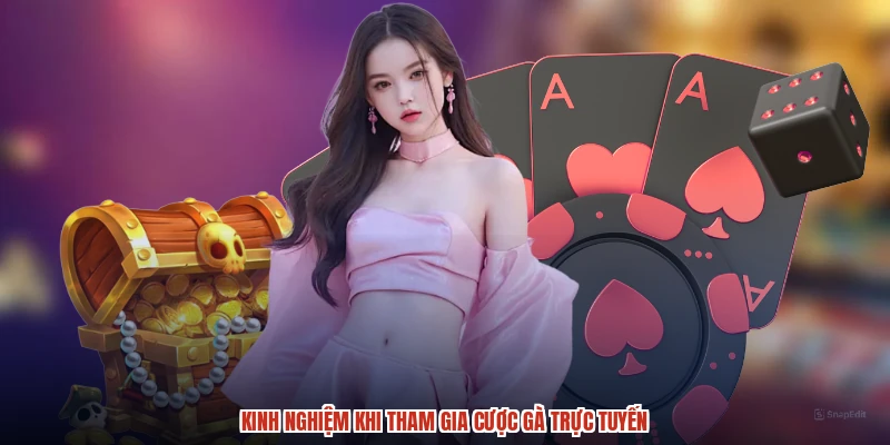 Kinh nghiệm khi tham gia cược gà trực tuyến