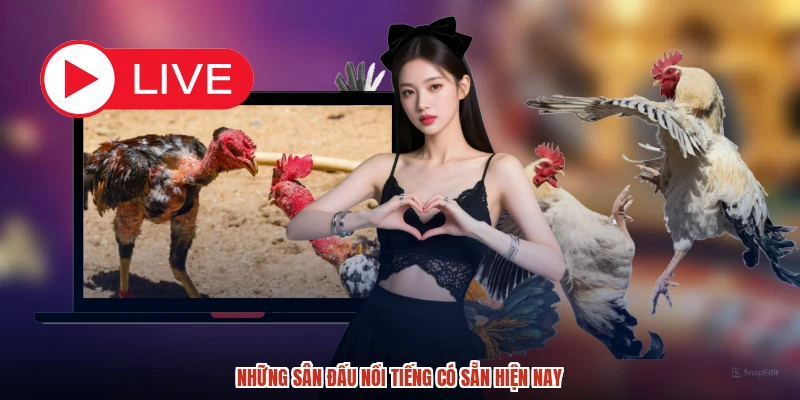 Những sân đấu nổi tiếng có sẵn hiện nay