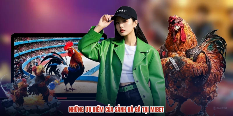 Những ưu điểm của sảnh đá gà tại MIBET