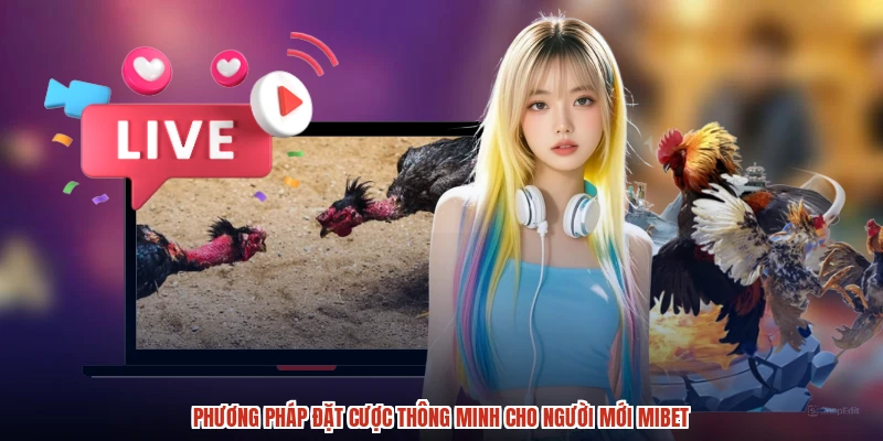 Phương pháp đặt cược thông minh cho người mới MIBET