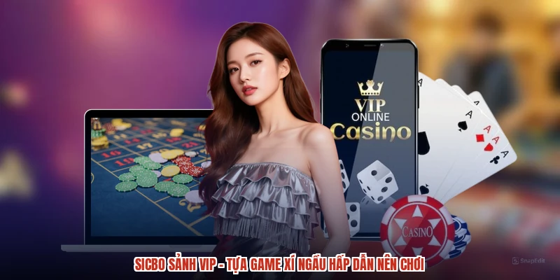 Sicbo Sảnh VIP - Tựa Game Xí Ngầu Hấp Dẫn Nên Chơi