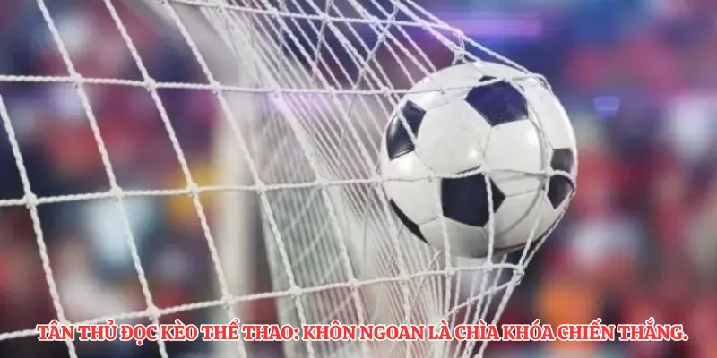 Tân thủ đọc kèo thể thao: Khôn ngoan là chìa khóa chiến thắng.